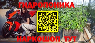 твердый Нальчик