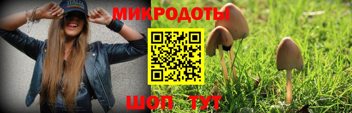 Псилоцибиновые грибы прущие грибы  Псилоцибиновые грибы Psilocybine cubensis  Югорск  Вход с VPN 